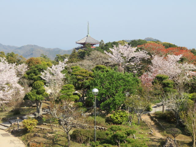 高知県高知市　第31番札所 五台山  金色院  竹林寺