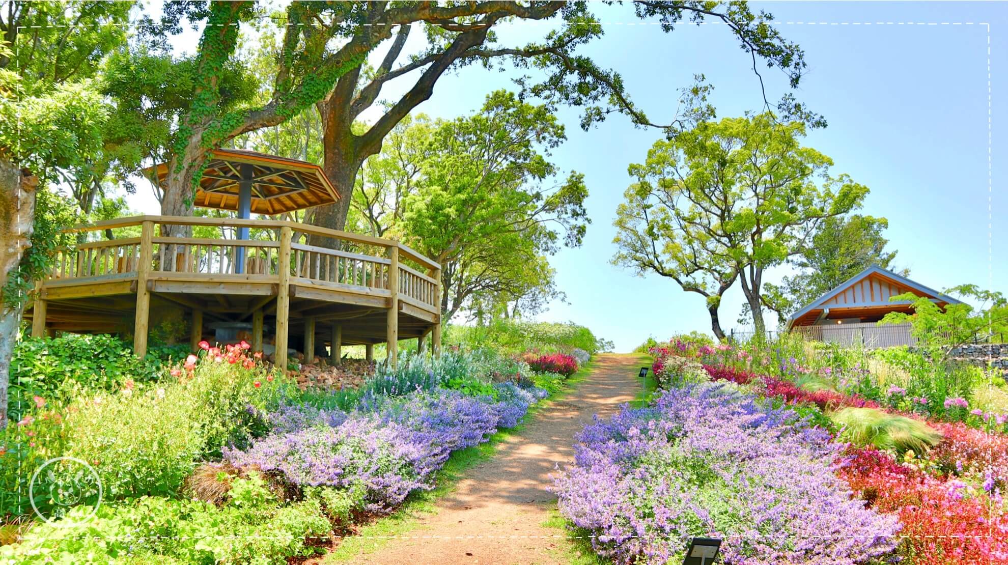 牧野植物園