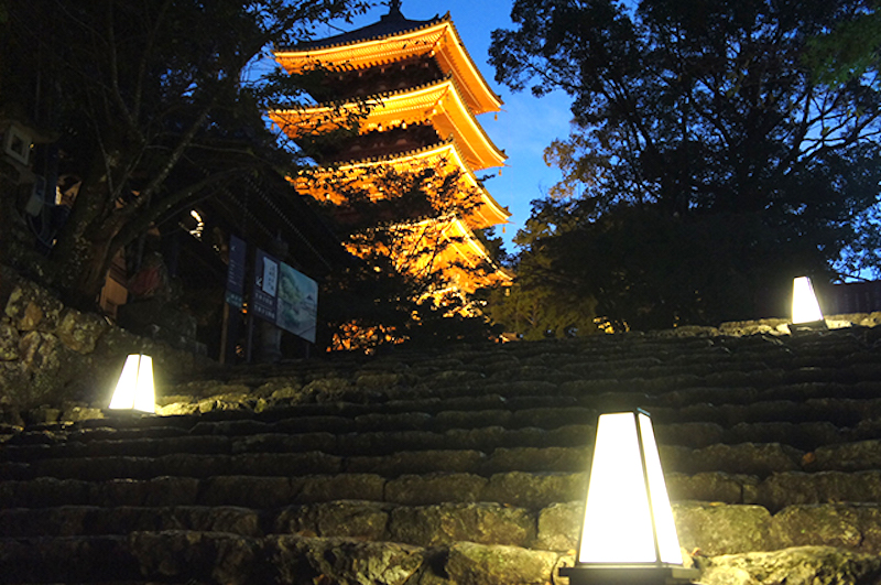 竹林寺の観月会