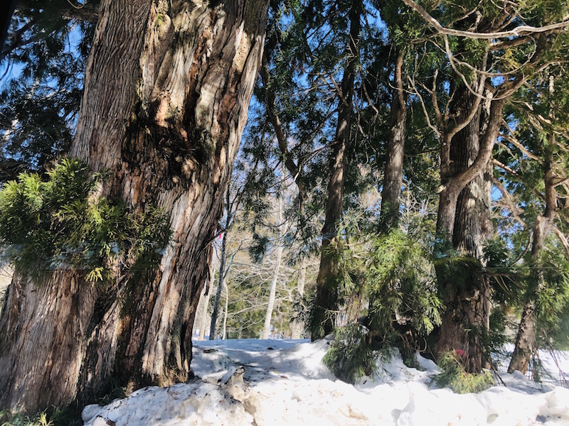 富山